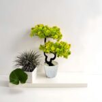 Artificial Plants for Home Decorarion Tree with Pot for Home Center Livingroom Table Shelf Entrance Office  Decorative Potted Plants (RV-AP8)